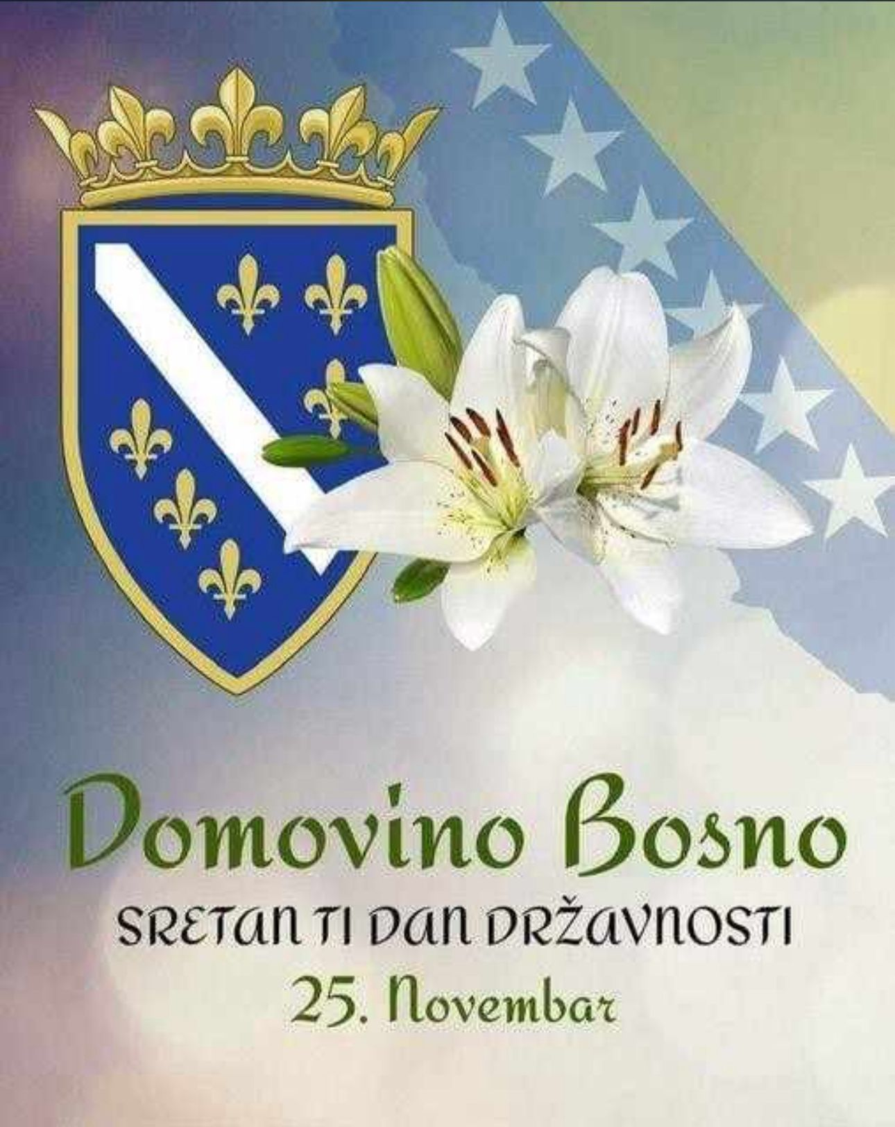 drzavnost